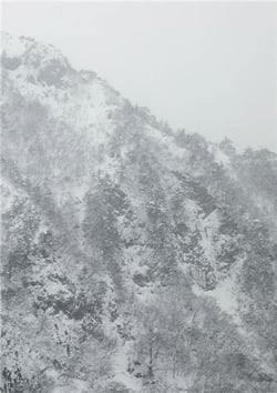 Keiko Sasaoka : Presence