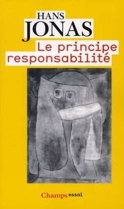 Principe responsabilite ne (le)