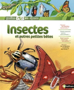 Insectes et autres petites bêtes