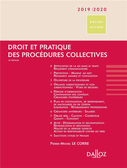 Droit et pratique des procédures collectives (édition 2019/2020) (10e édition)