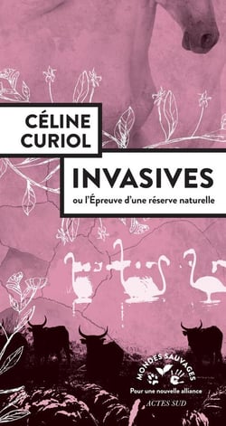 Invasives ou l'épreuve d'une réserve naturelle