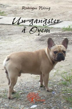Un gangster a oyem