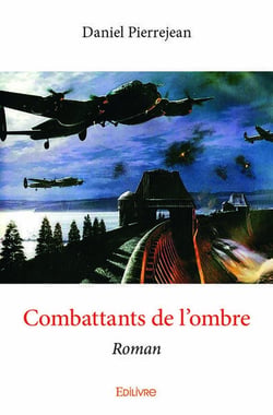 Combattants de l'ombre - roman