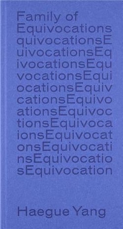 Haegue Yang - family of equivocations