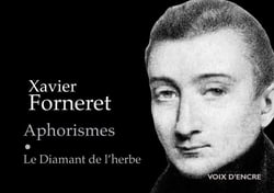 Aphorismes - le diamant de l'herbe