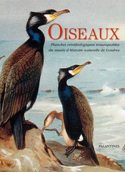 Oiseaux - planches ornithologiques remarquables du musée d'histoire naturelle de londres
