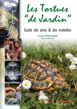 Les tortues "de jardin" - guide des soins & maladies