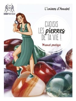 Choisis les pierres de ta vie ! manuel pratique
