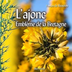 L'ajonc - emblème de la Bretagne