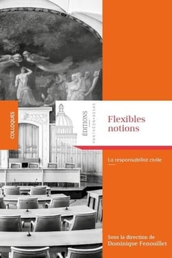 Flexibles notions - la responsabilité civile