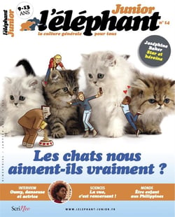 L'éléphant junior n.14 : Les chats nous aiment-ils vraiment ?