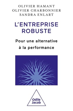 L'entreprise robuste : Pour une alternative à la performance