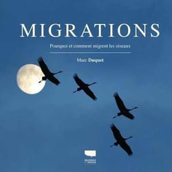 Migrations : pourquoi et comment migrent les oiseaux