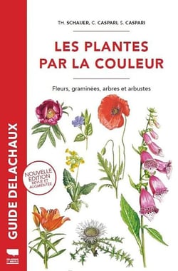 Les plantes par la couleur : Fleurs, graminées, arbres et arbustes