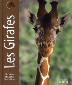 Portraits d'animaux - les girafes