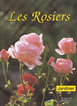 Les rosiers