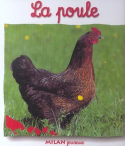Poule (la)