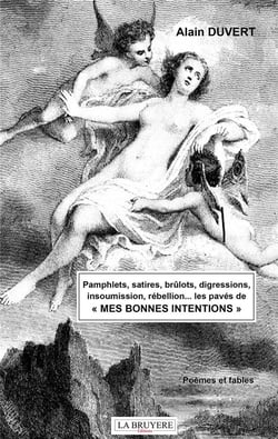 Pamphlets, satires, brûlots, digressions, insoumission, rébellions... les pavés de mes bonnes intentions