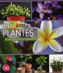 Lexiguide des plantes d'intérieur et de terrasse