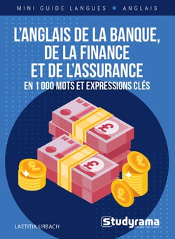 Mini guide langues : l'anglais de la banque, de la finance et de l'assurance - en 1000 mots et expressions clés