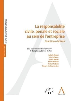La responsabilité civile, pénale et sociale au sein de l'entreprise - questions choisies