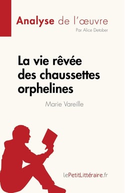La vie rêvée des chaussettes orphelines de Marie Vareille : analyse de l'oeuvre