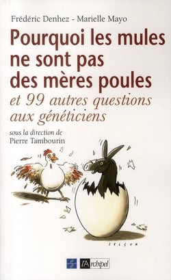 Pourquoi les mules ne sont pas des mères poules ?
