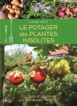 Le potager des plantes insolites