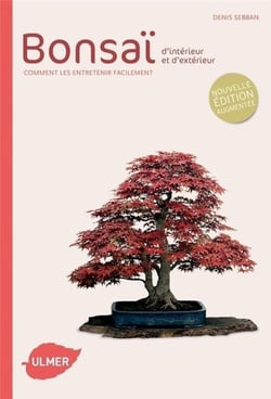 Bonsaï d'intérieur et d'extérieur - comment les entretenir facilement