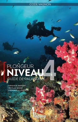 Code Vagnon - plongeur niveau 4 - guide de palanquée