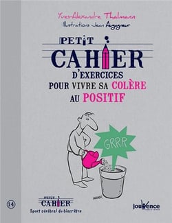 Petit cahier d'exercices - pour vivre sa colère au positif