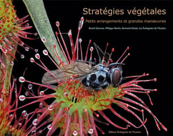 Stratégies végétales - petits arrangements et grandes manoeuvres