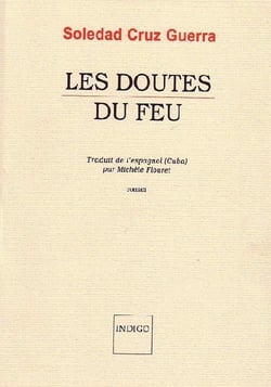 Les doutes du feu : Roman
