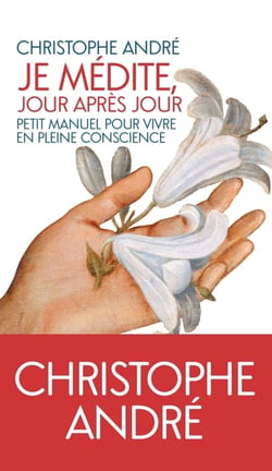 Je médite jour après jour - petit manuel pour vivre en pleine conscience