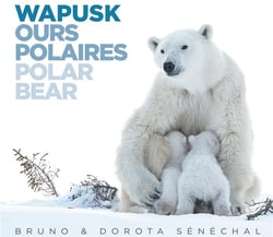 Wapusk ours polaires : polar bear (3e édition)