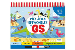 Mes jeux effaçables de GS