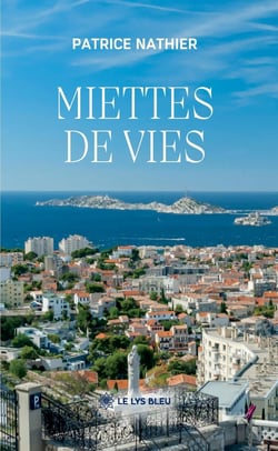 Miettes de vies