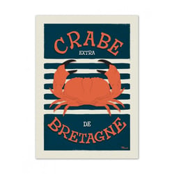 Affiche 50x70 « crabe de bretagne »