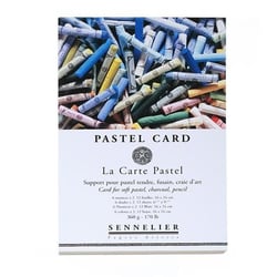 Bloc Pastel Card 16 x 24 cm 12 feuilles