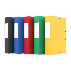 1 boîte de classement A4 - Dos 60 mm - Carton - Coloris assortis - Cultura