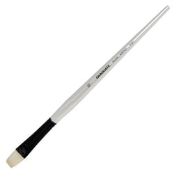 Brosse Graduate plate courte 10