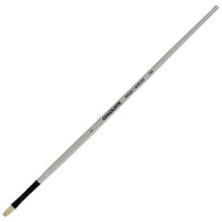 Brosse Graduate plate longue 1