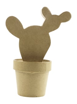 Cactus western