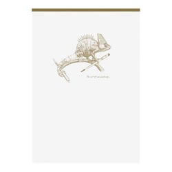 CARN FLYING WHITE A5 140P LG A