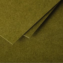 25 cartes Pollen 135x135mm - Algue