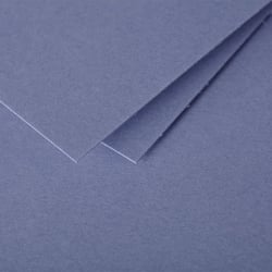 CARTE DBLE 110X155 MYOSOTIS X25