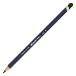 Crayon de couleur Derwent - Procolour - feuillage