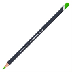 Crayon de couleur Derwent - Procolour - herbe verte