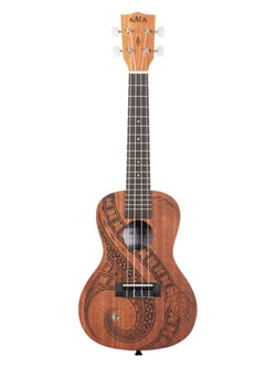 Kala KA-GUIDANCE-C - Ukulele avec housse - Concert 