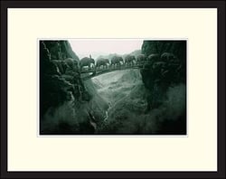 Elephants - Cadre 40x50